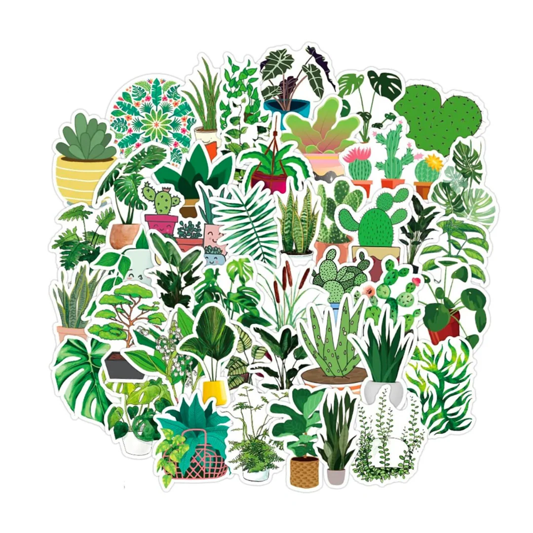 Adesivi – Cactus